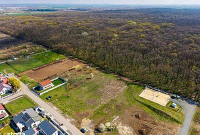 Spațiu comercial, în Dumbrăvița - 16