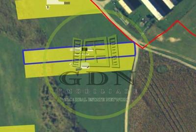 Teren agricol extravilan de 2900 mp, în Șelimbăr