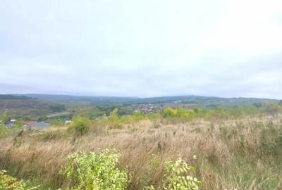 Teren de 1500 mp, în Bârnova - 1