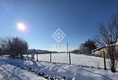 Teren cu suprafata 5300 mp intravilan - 3