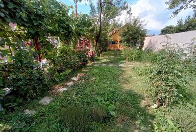 Casă cu Teren 1060 Mp în Beriu - 3