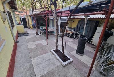 Viile noi-casa la sol cu garaj - 9