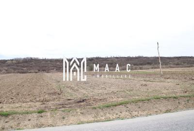 Teren agricol intravilan de 5390 mp, în Racovița - 8