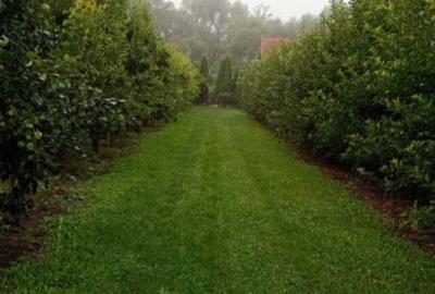 Colt de rai intr-un peisaj de poveste! Casa 4 camere intre D Colt de rai intr-un peisaj de poveste! Casa 4 camere intre D - 6