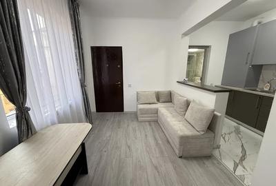 Apartament cu 2 camere, mobilat în Banu Manta - 1