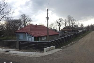 Casă cu 5 camere cu Teren 2000 Mp în Rădăuți-Prut - 3