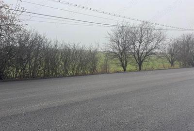 COMISION 0 | Teren intravilan | 7.473 mp | Zona Freidorf - 2