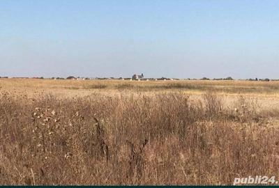 Teren de 7500 mp, în Buturugeni - 3