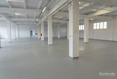 Spațiu industrial, 1213 mp în Someșeni