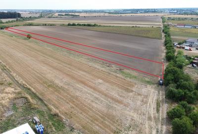 Darza, teren intravilan 6.000 mp, 13 euro/mp deal pentru case, ferma, productie - 4