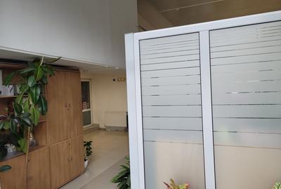 HALA PRODUCTIE + TEREN CALEA BUCURESTI - 4