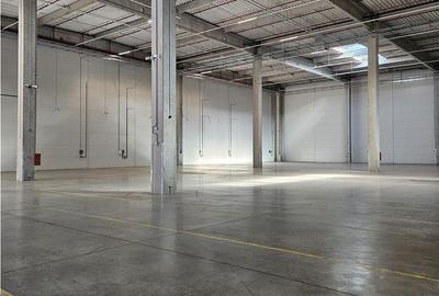 Spațiu comercial, de 3,500 mp, în Florești - 14