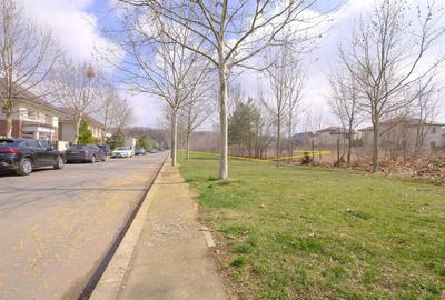 CORBEANCA - Tamasi - Corbeanca Park, 6.688 mp. teren excelent, lipit de padure - 3