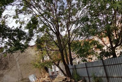 Teren de 1225 mp, în Moșilor - 5