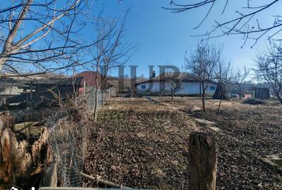 Casă cu 1 camere cu Teren 585 Mp în Mărgineni - 1