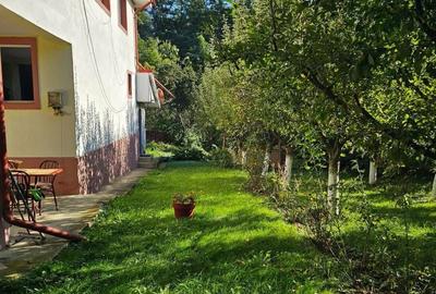 Casă cu 4 camere în Bistrița - 5