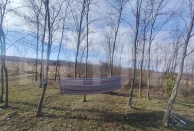 Teren în Ciurea - 1