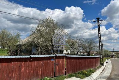 Teren de 4872 mp, în Antoceni - 7