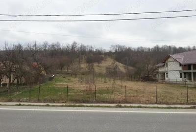 Teren Goranu Zona Peugeot - 2