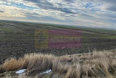 Teren agricol extravilan de 24108 mp, în Sud-Vest - 2