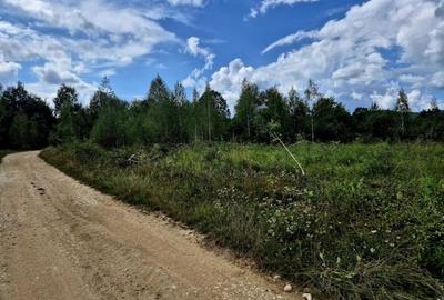 Vand teren in zona Fagaras, ideal refugiu vacanta/Comision 0 % - 6