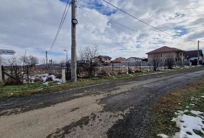 Proprietar- Teren Intravilan Ghiroda 825mp - 6