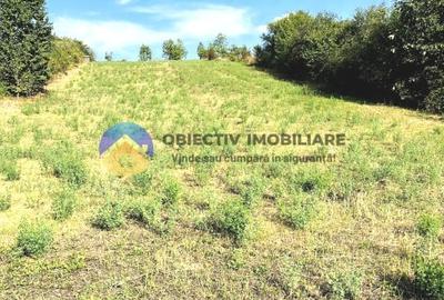 Teren agricol intravilan de 2200 mp, în Gârcina