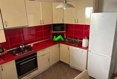 Casa individuala de inchiriat 4 camere Sibiu Ultracentral - 5