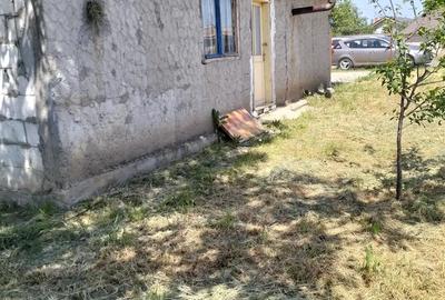 Casa de vanzare Baneasa - 6