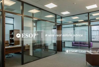 Spațiu comercial, de 5,900 mp, în Băneasa - 7