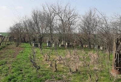 Casă cu 4 camere cu Teren 3113 Mp în Drăgănești-Vlașca - 6