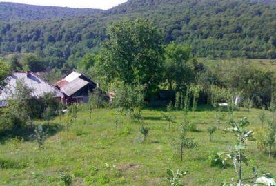 Teren de 4000 mp, în Tutana - 6