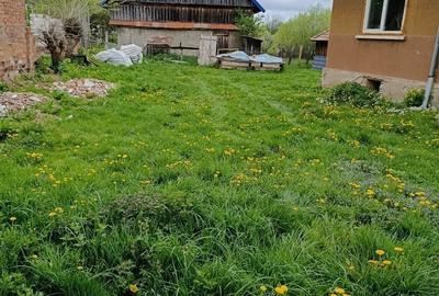 Casă cu 3 camere în Dângău Mare - 4