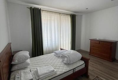 Inchiriez apartament langa AFI mall, pet friendly - 12