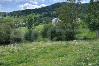 Teren de 1641 mp, în Gilău - 7