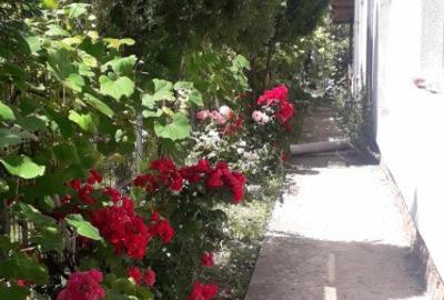 Casa Copacelu Valcea P+1+M - 8