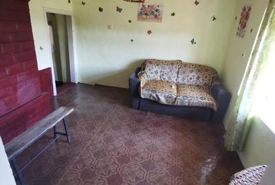 Casă cu 2 camere în Dumești - 8