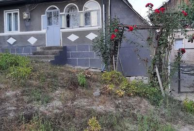 Casă cu 6 camere cu Teren 12500 Mp în Copăcelu - 8