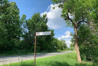 Vand teren zona Carasova! - 1