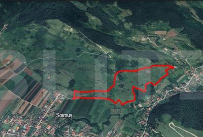 Teren extravilan de 12,24 hectare in ?oimu? doar 3 le - 1