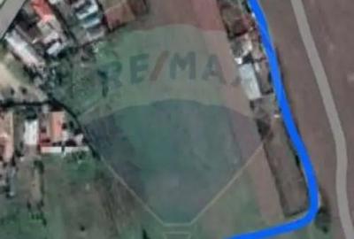 Teren de 4800 mp, în Cernele - 2