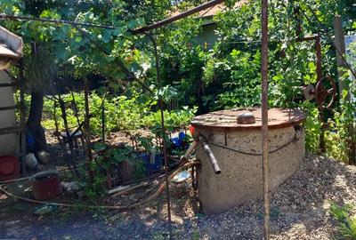 Casă cu 3 camere în Golești - 5