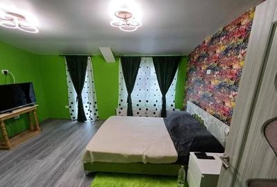 Duplex cu 3 camere cu Canalizare în Dumbrăvița - 5