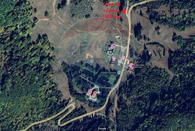 Teren de 1000 mp, în Poiana Brașov - 4