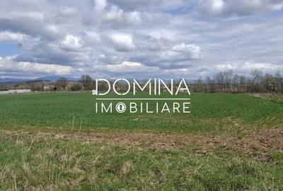 Teren de 20386 mp, în Câlnic - 4