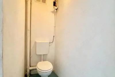 Apartament cu 3 camere decomandat, mobilat în Teiul Doamnei - 13