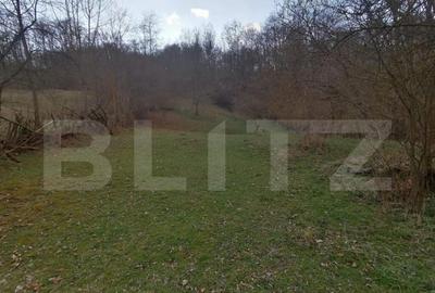 Teren de 2900 mp, în Central