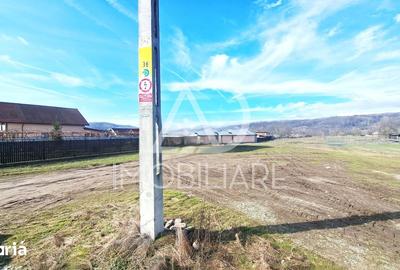 Teren de 3725 mp, în Bumbești-Pițic - 2