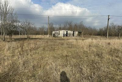 Casă în Central - 3