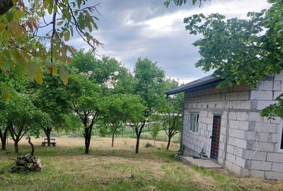 Casă cu 2 camere în Câmpenești - 8